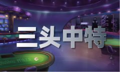红姐每期文字免费材料